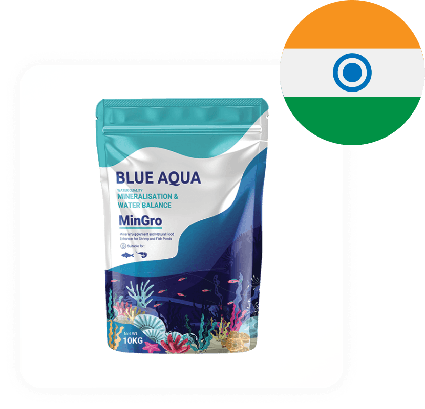 Blue Aqua International, started in singapore